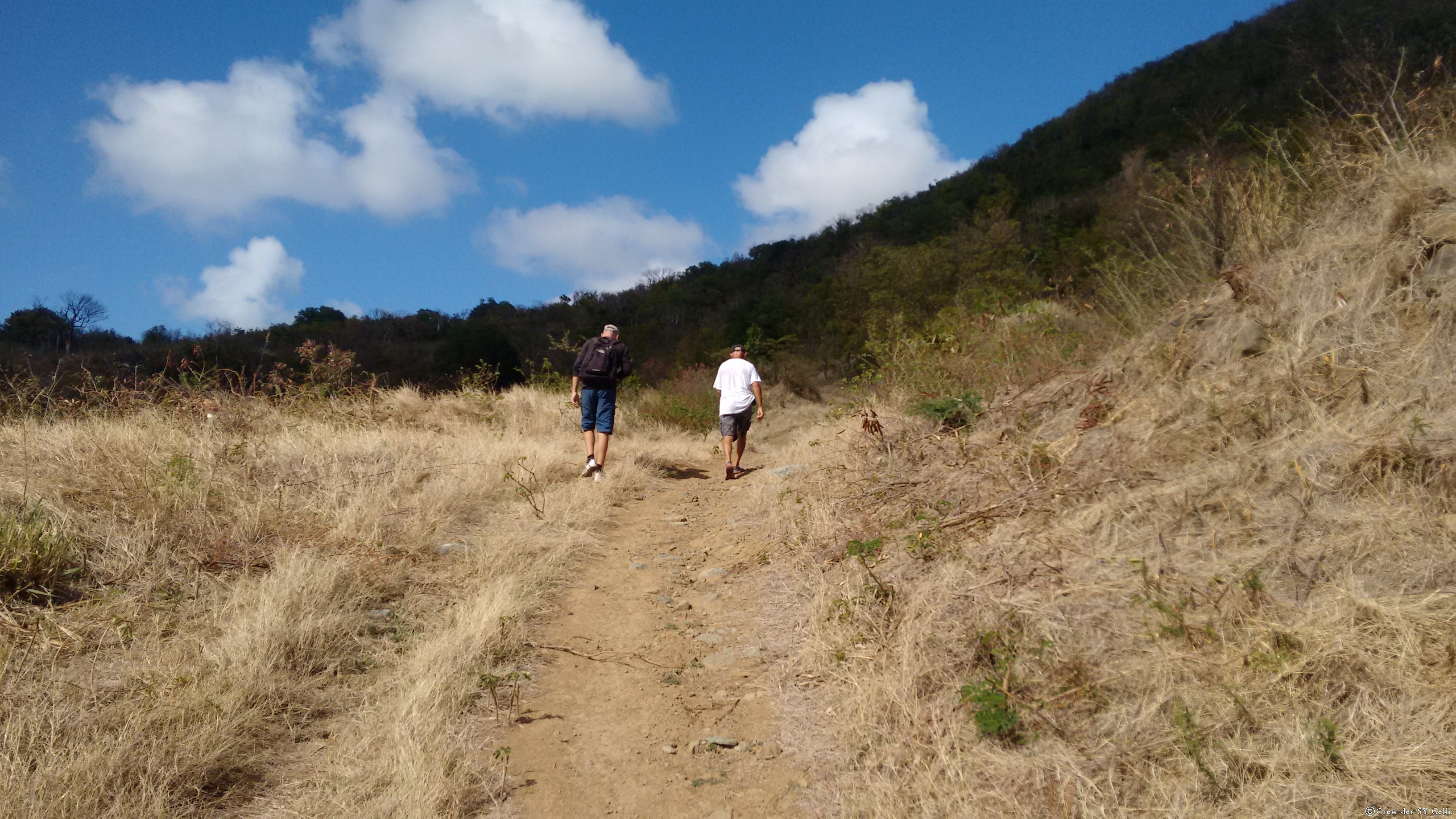 Mit David, einem Top-Fitten 75-jährigen Tasmanier, gingen wir wandern. Er lieh uns auch sein Kajak aus, mit dem wir die Insel auf dem Wasserweg erkunden konnten.