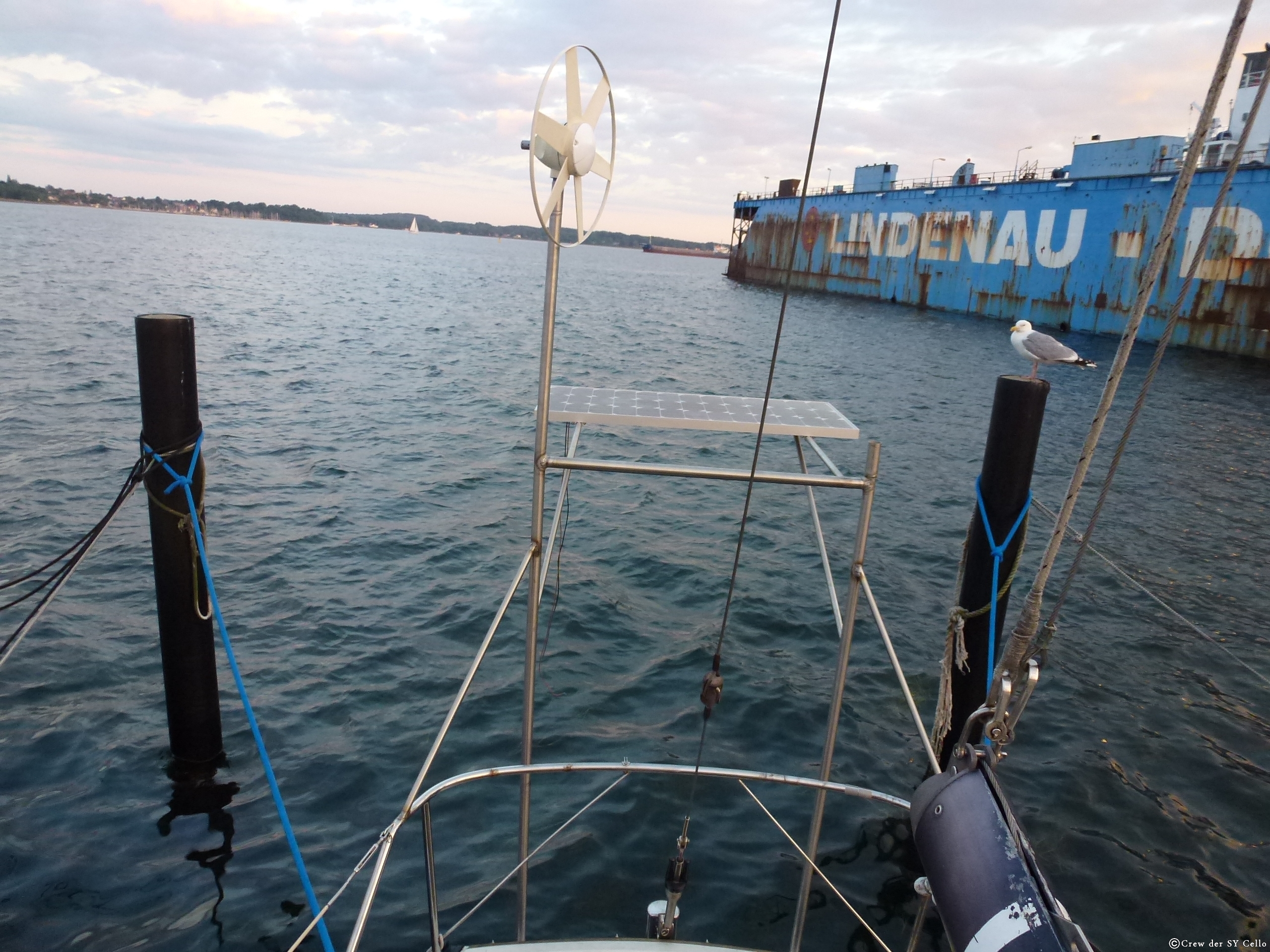 Peter, die Möwe, bewacht das Boot