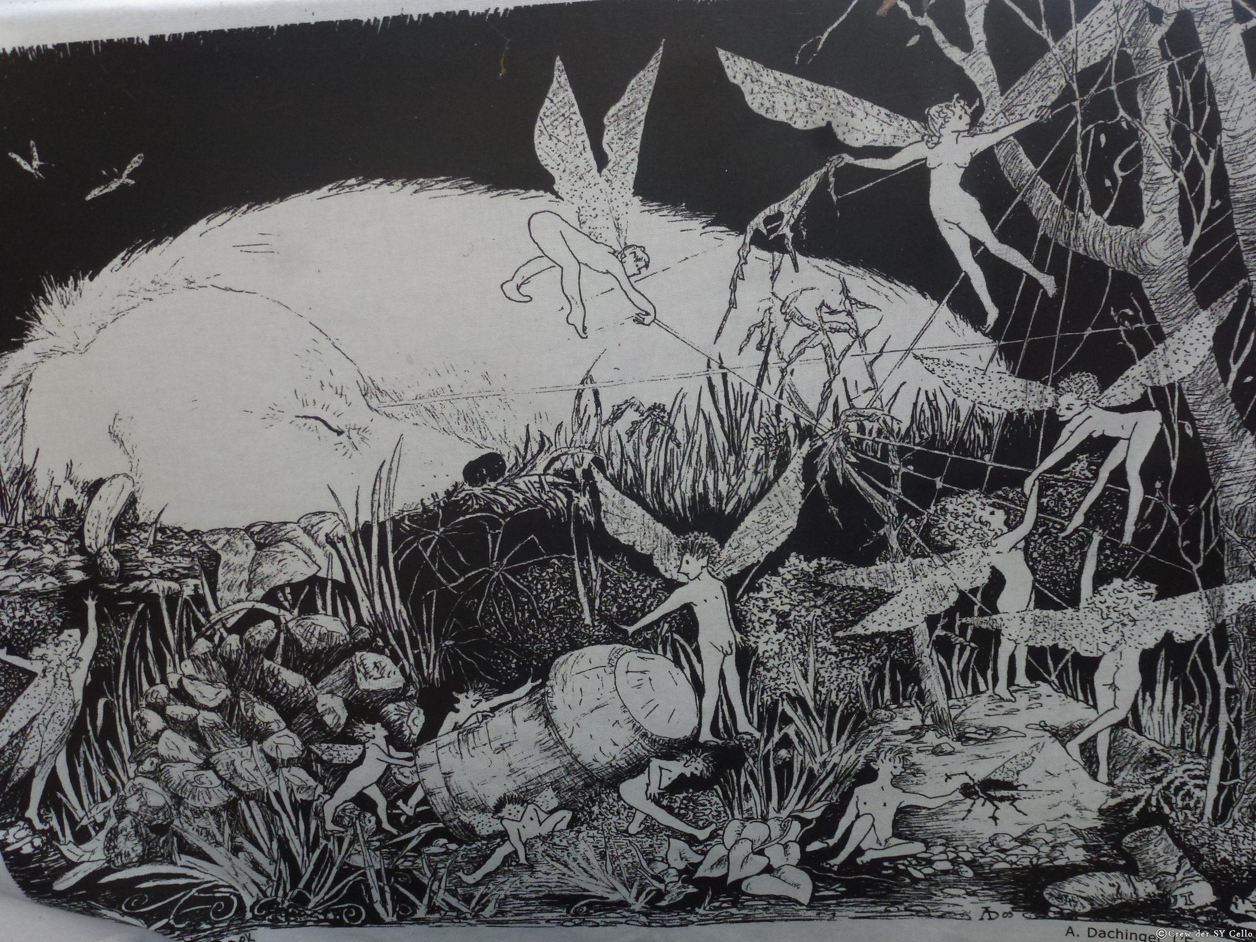 Copyright Annie Dachinger