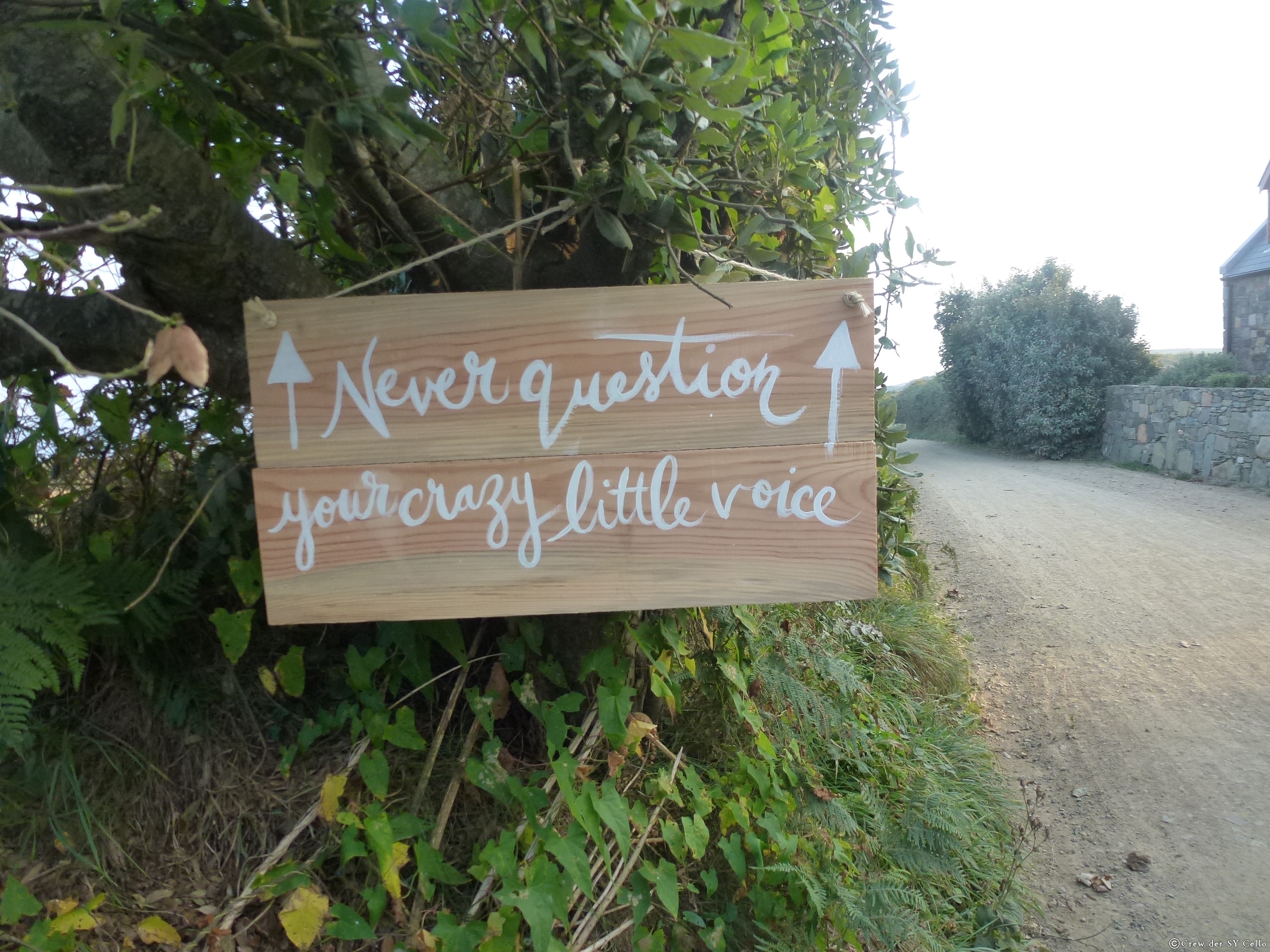 Stelle deine kleine, verrückte Stimme in dir nie infrage