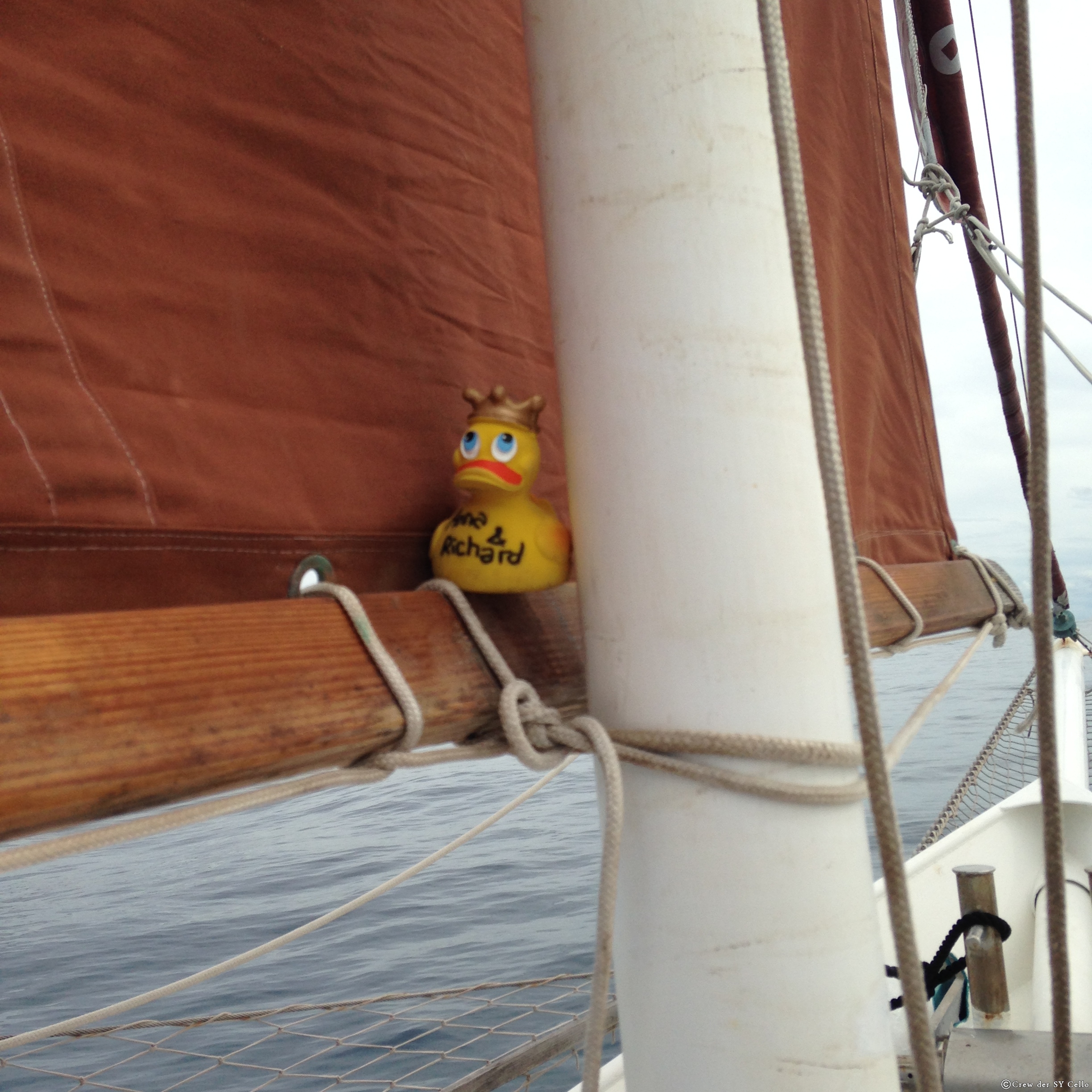 Grüße von einer unserer Enten vom Schiff &lsquo;Madrugada&rsquo;