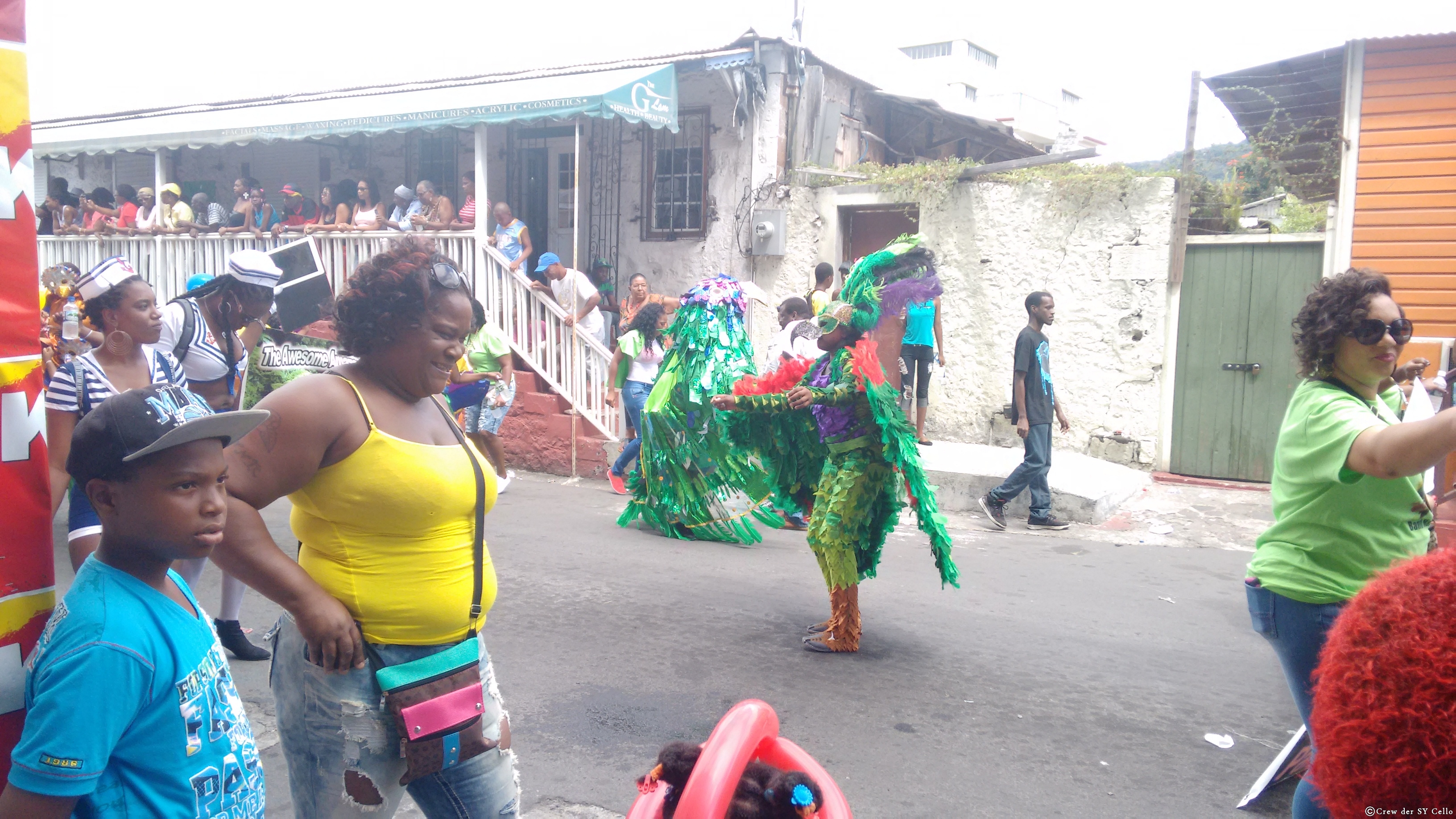 Karneval, Thema: Paradiesvögel.