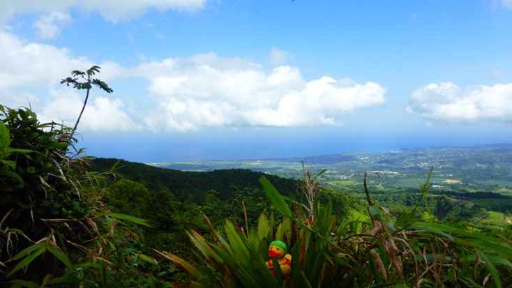 Ente, die mit Ingo und Antje auf der ‘Amazone’ unterwegs ist auf Martinique.