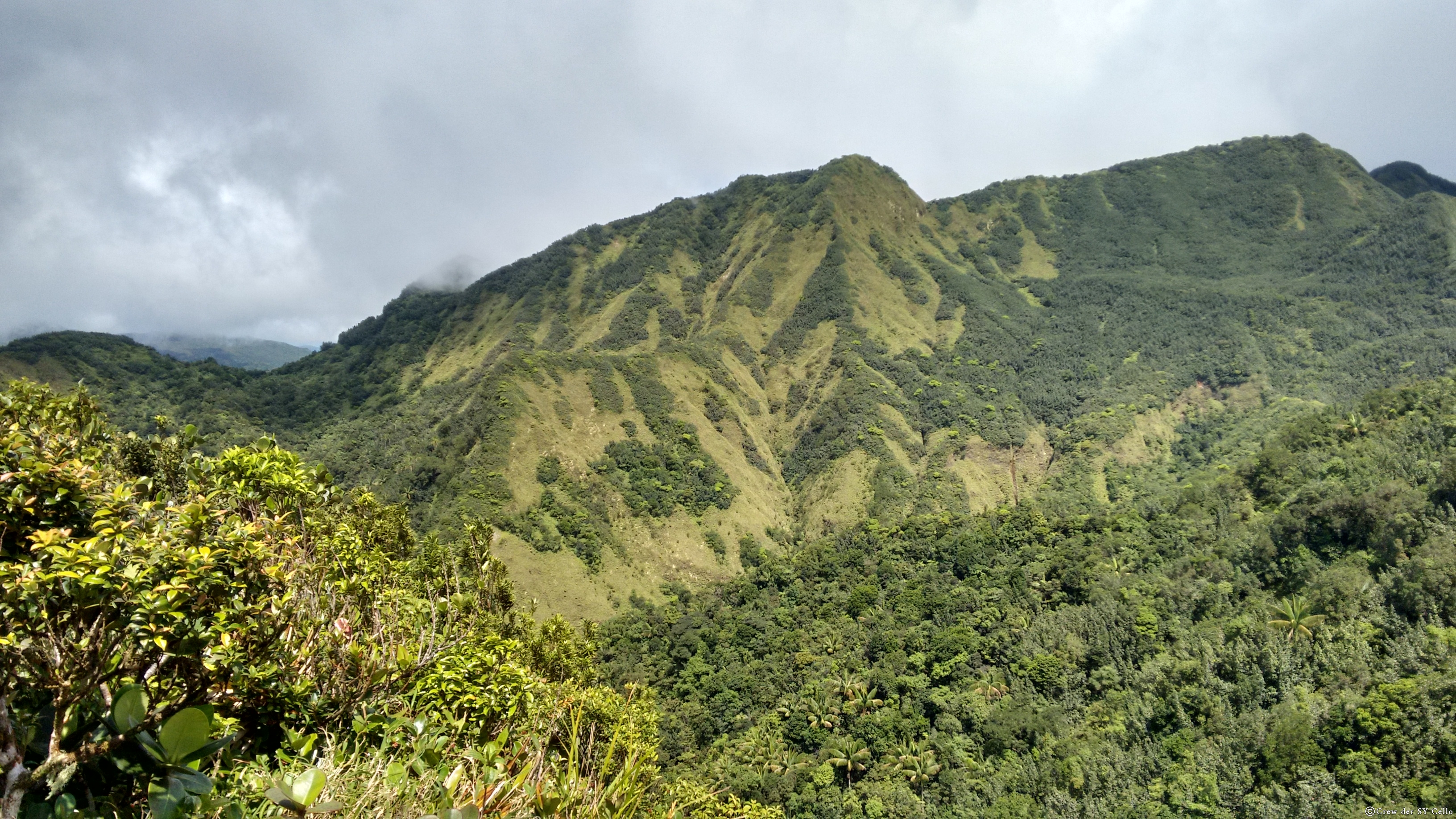 … geschafft, oben.