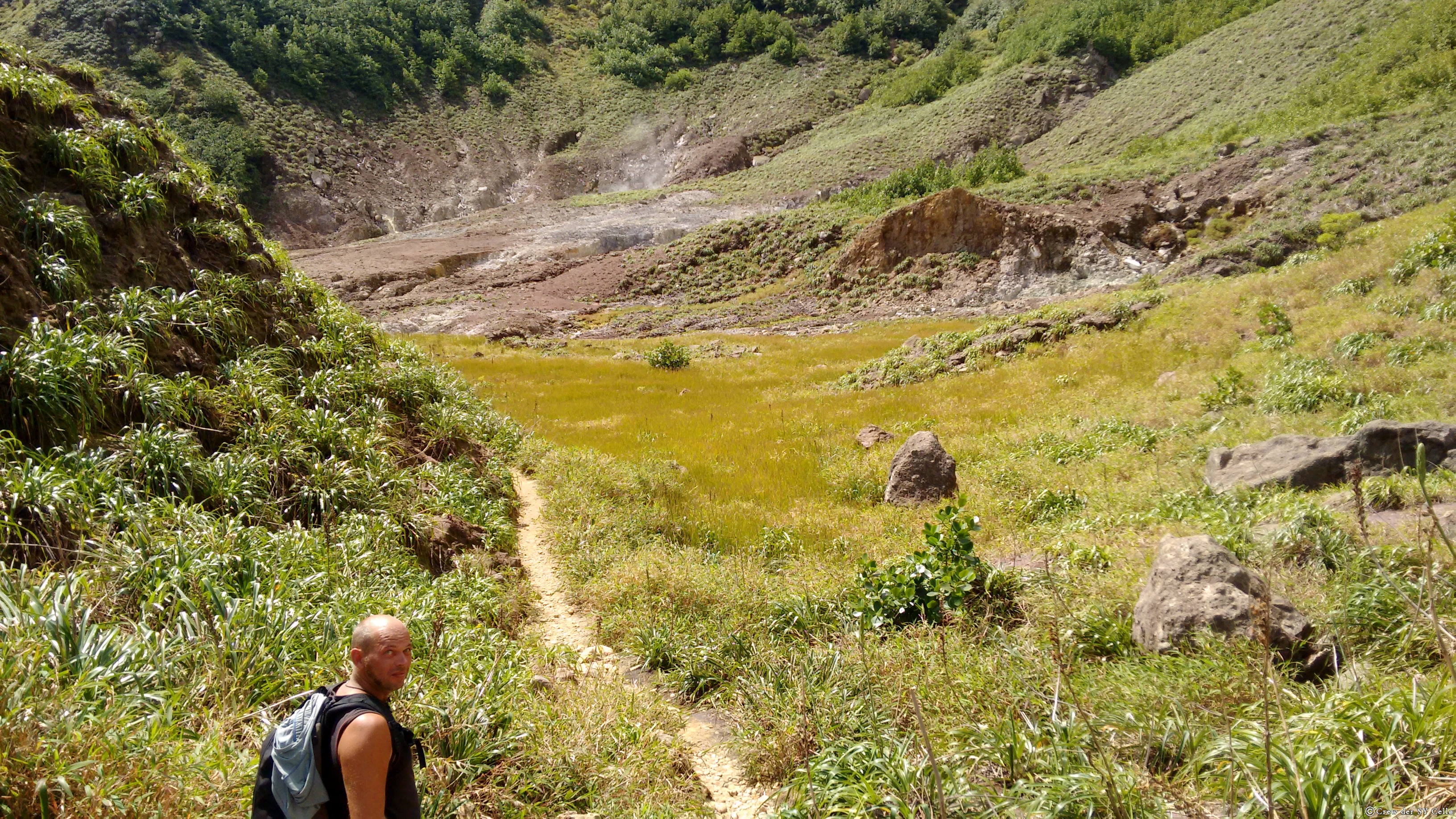 Auf dem Rückweg, Gräser machen sich breit.