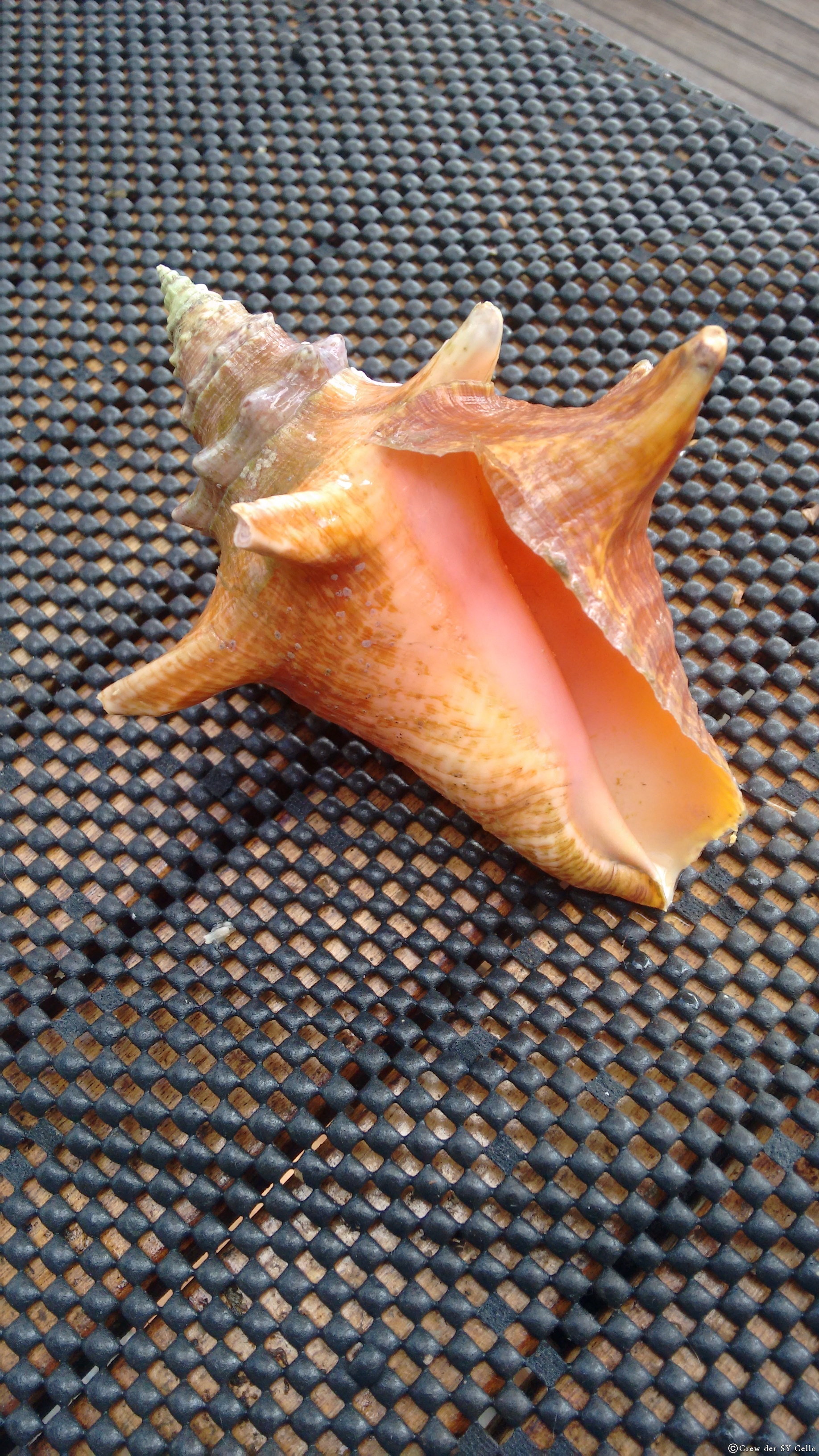 Ein Geschenk &hellip;