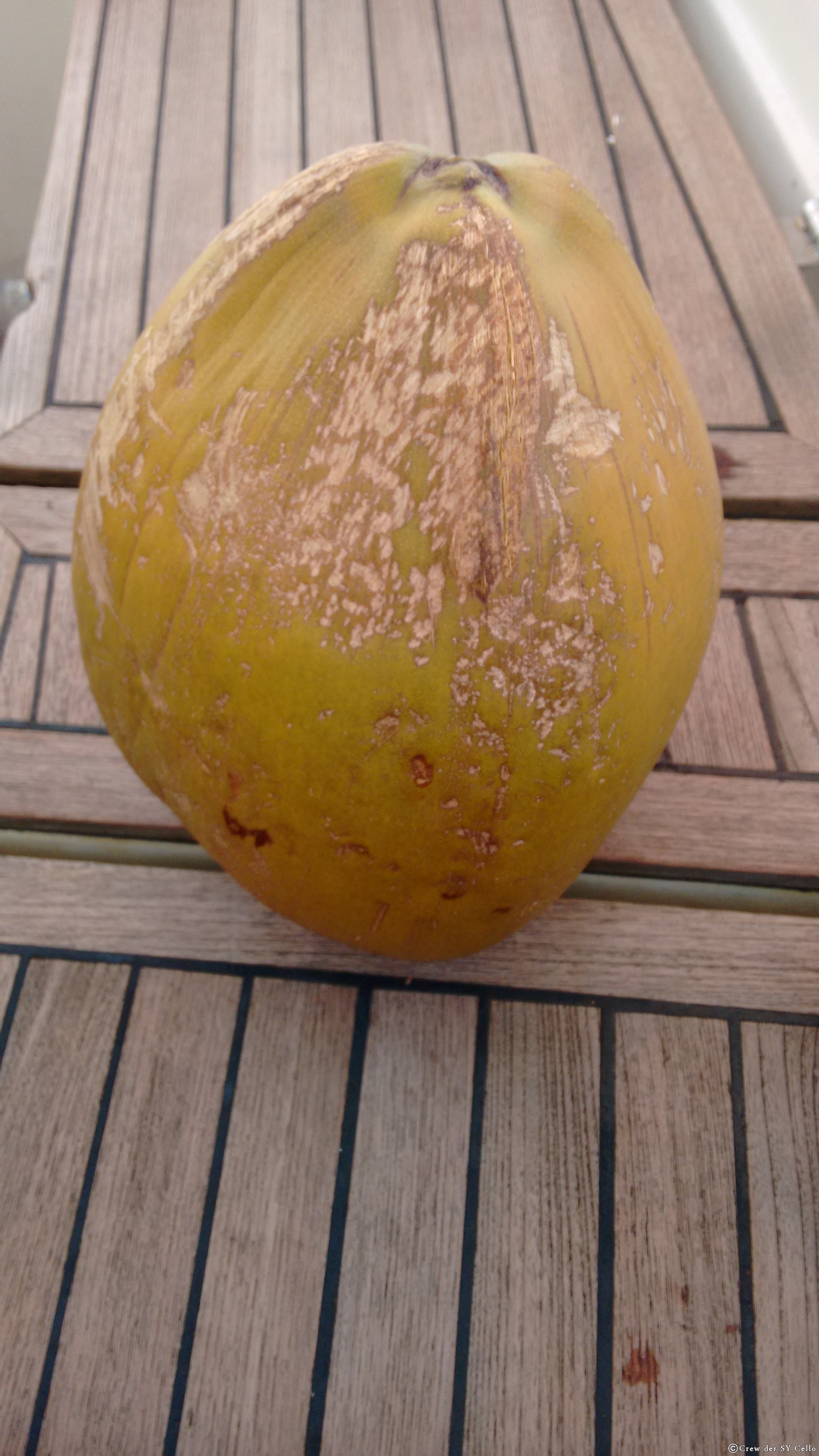 &hellip; eine Kokosnuss, geschlossen &hellip;