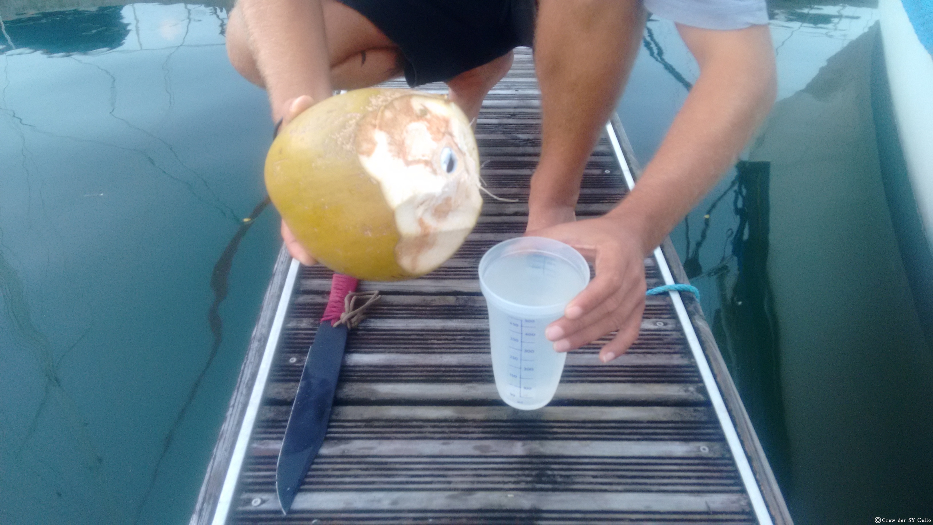 &hellip; eine Kokosnuss ist offen, liefert 500 ml Wasser/Saft.