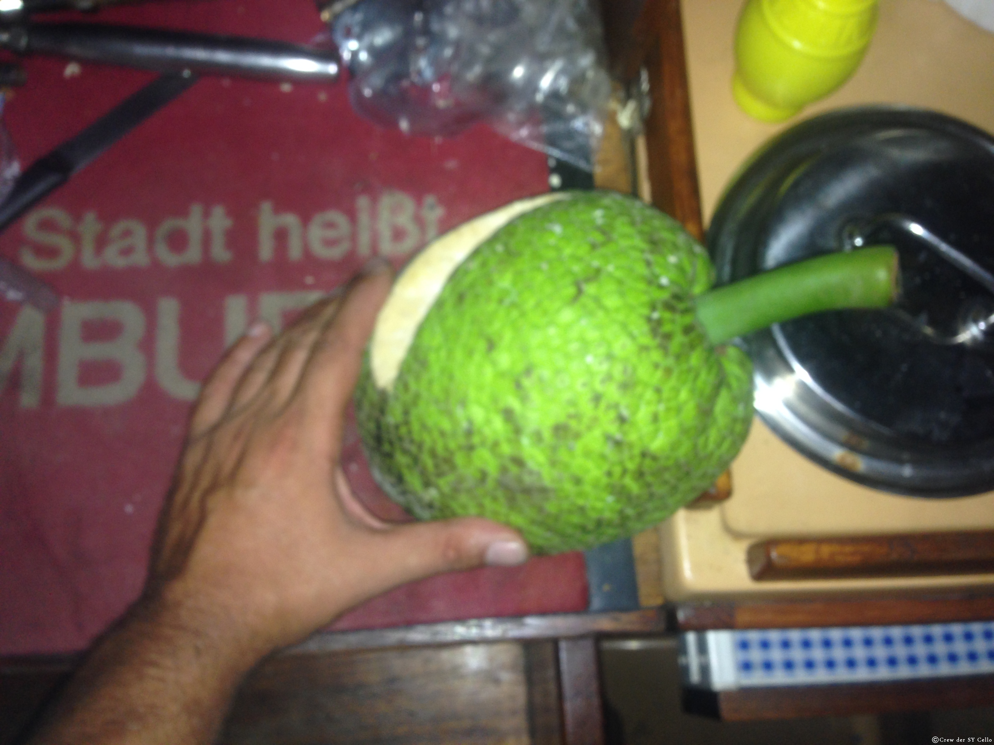 Aus einer Brotfrucht wird ein Abendessen &hellip;