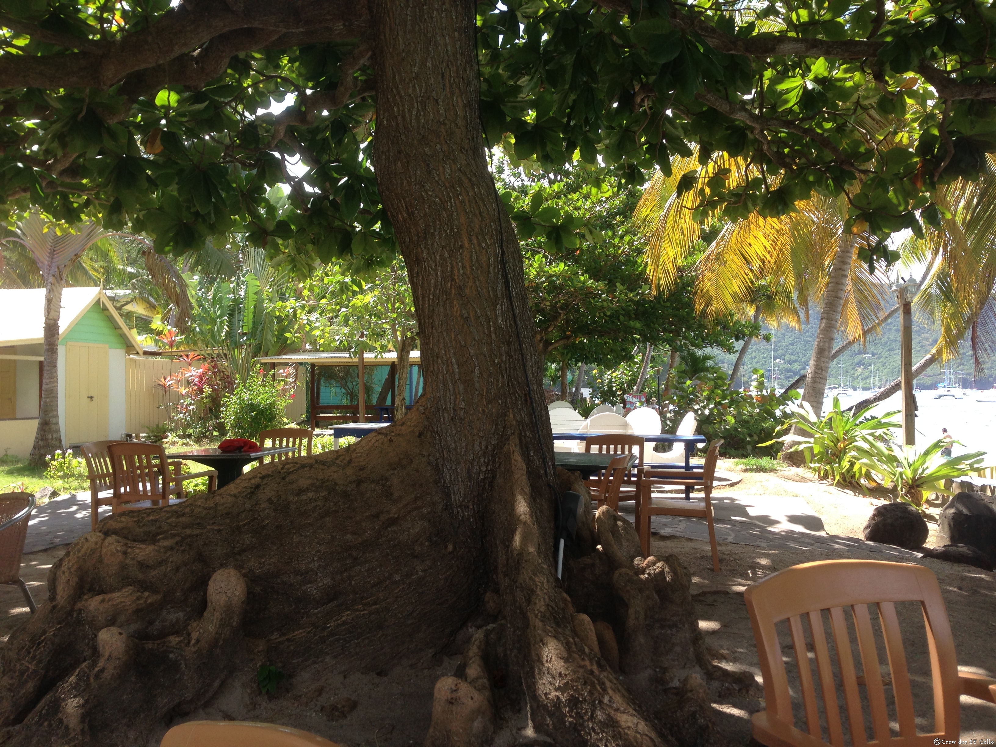 Stammlokal, &lsquo;Gingerbread&rsquo;