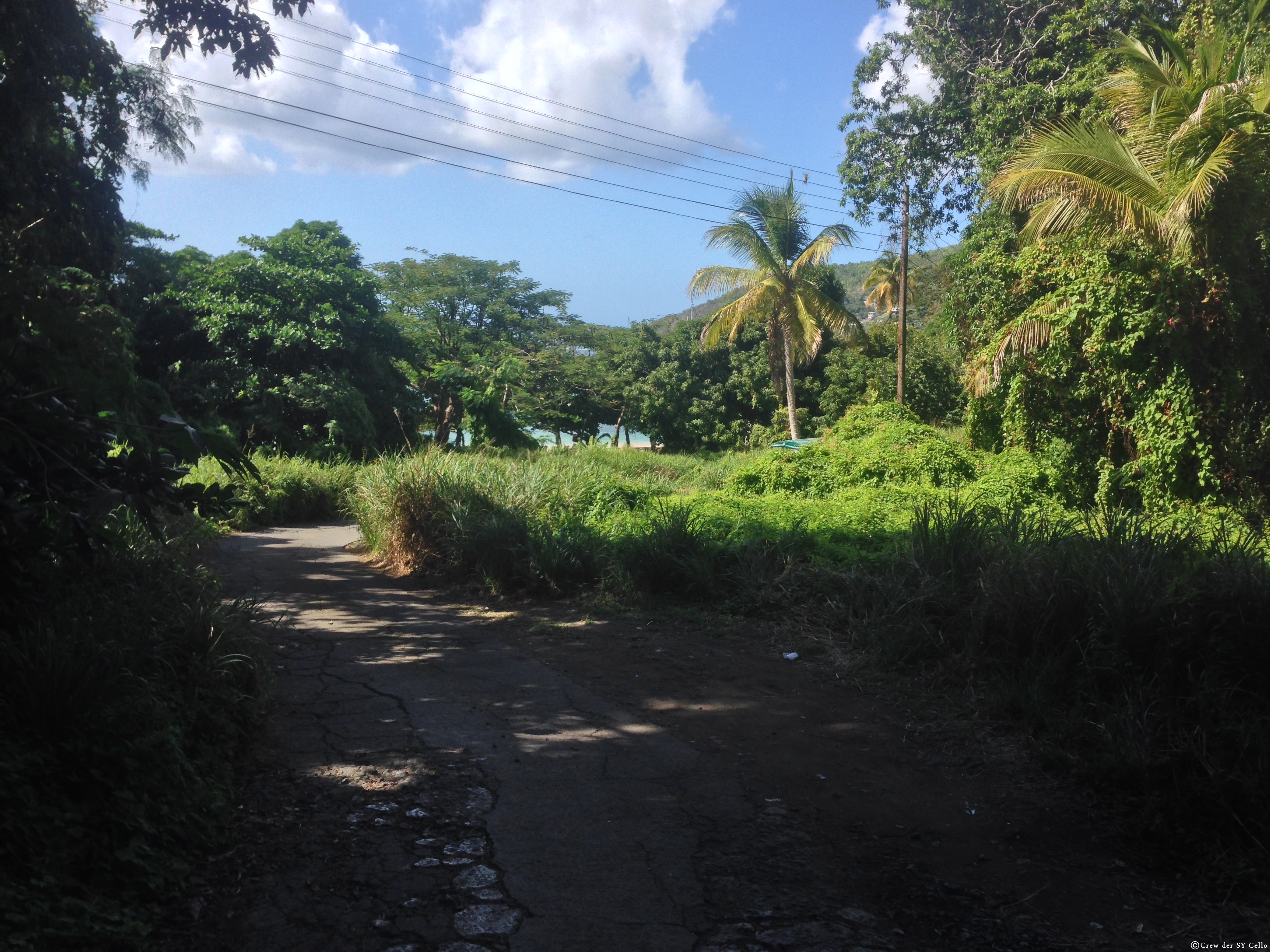 Und eine der wenigen, eher schlecht ausgebauten Straßen auf Bequia