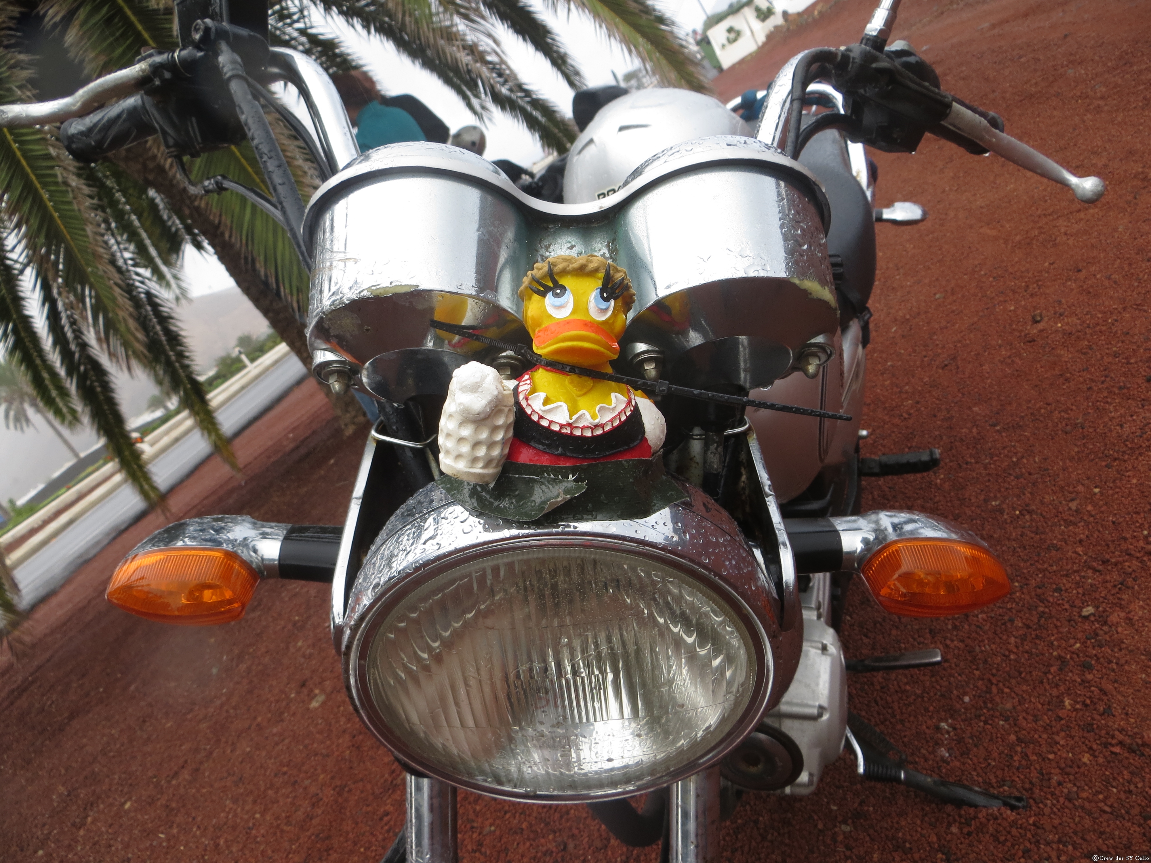 Olga auf Motorradtour