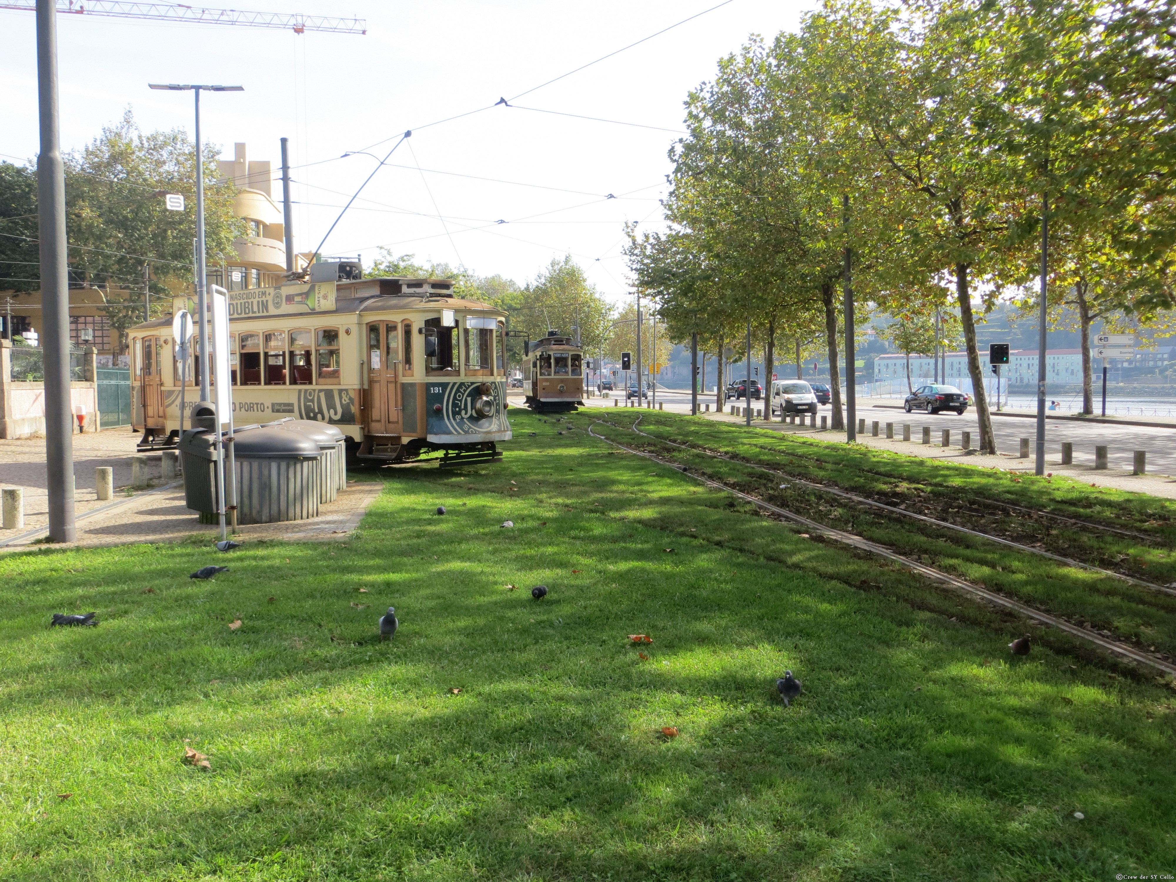 Straßenbahn in Porto